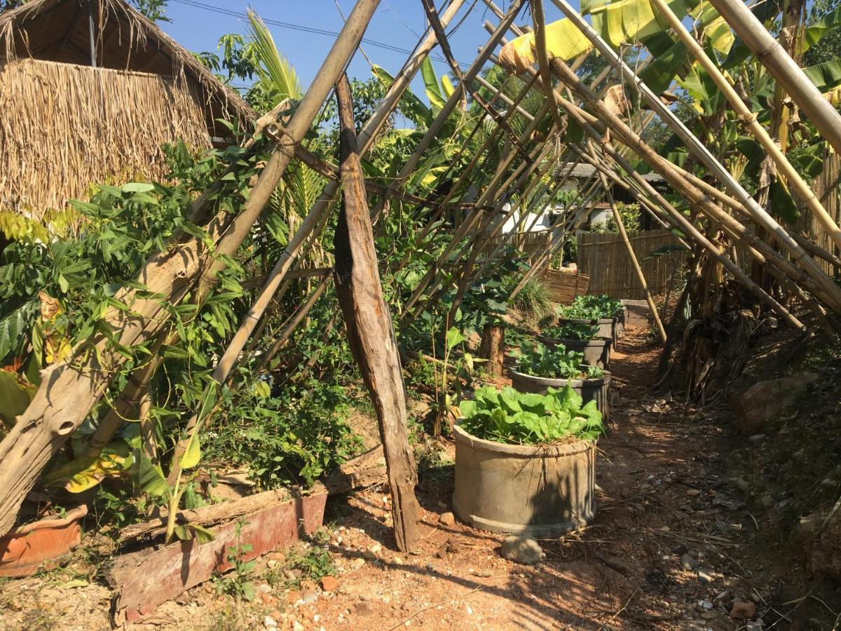 Thong Family Homestay Chiangdao Chiang Dao Εξωτερικό φωτογραφία