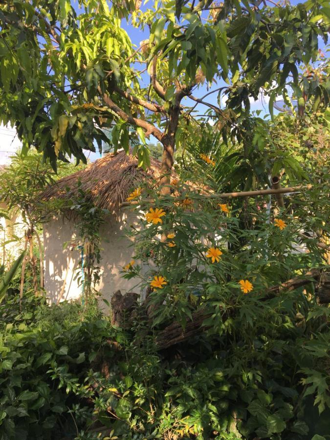 Thong Family Homestay Chiangdao Chiang Dao Εξωτερικό φωτογραφία